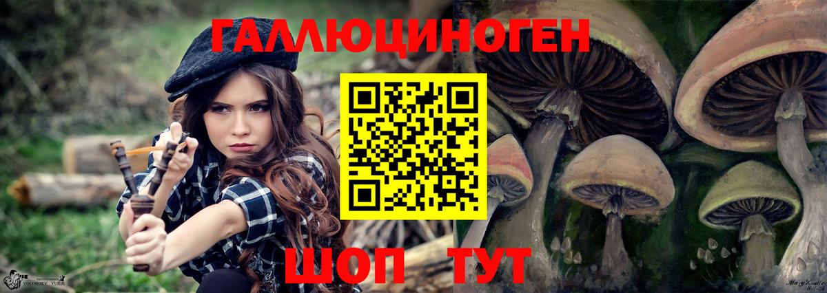 Псилоцибиновые грибы GOLDEN TEACHER  Вход с VPN  Новочеркасск 