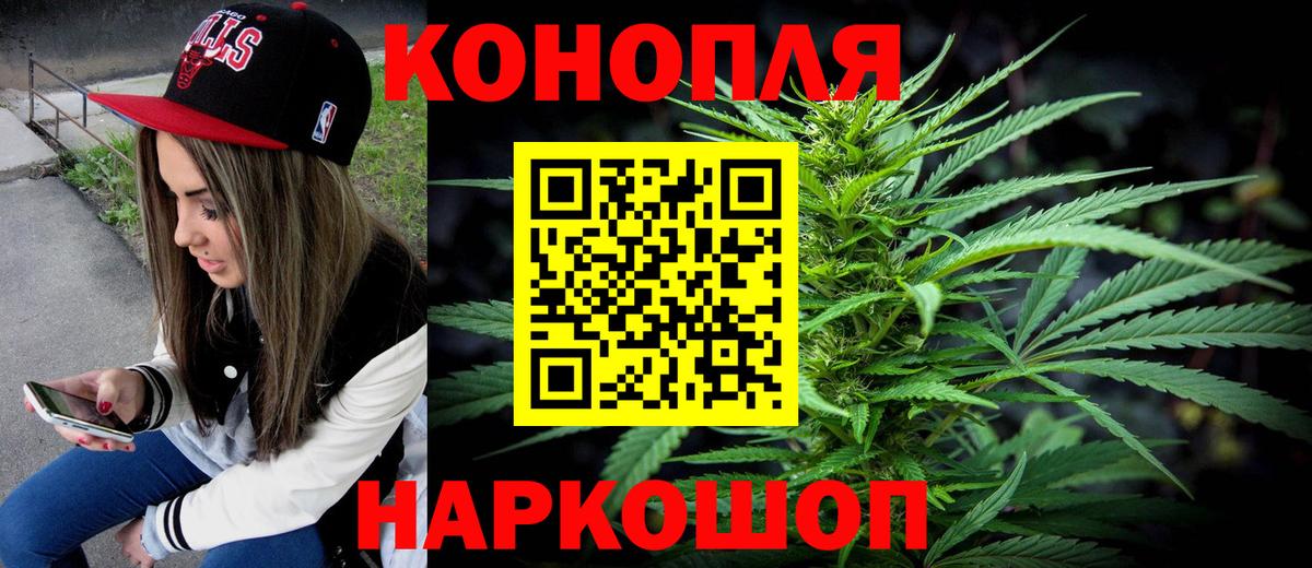 Конопля OG Kush Новочеркасск